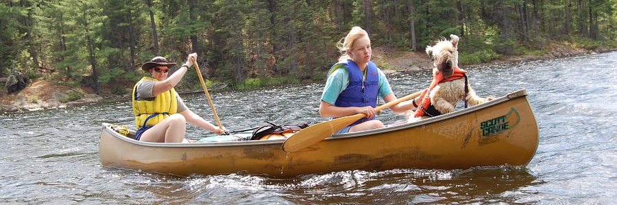 wheaten terrier water canoe
